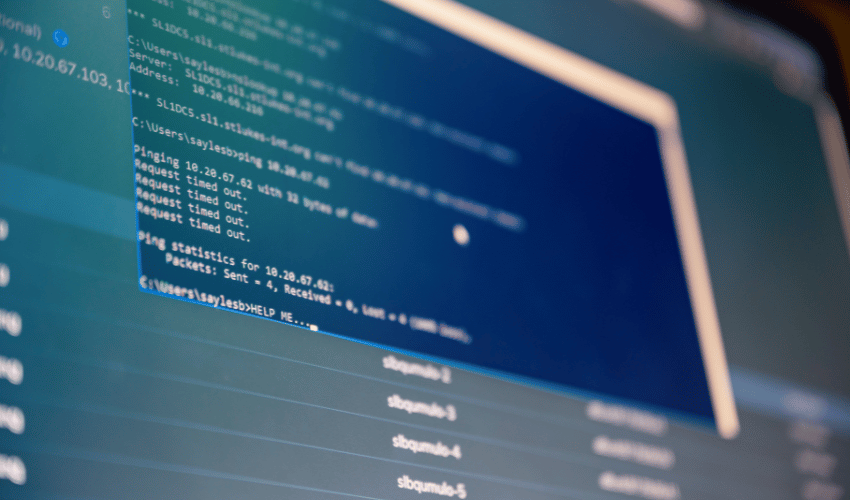 Web Hosting